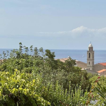 Maison Les Aloes - Vue Mer Et Proche Centre Ville Propriano  Exterior foto